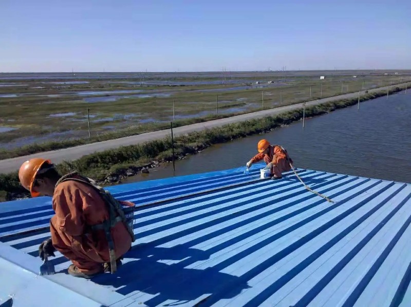 沔城回族镇彩钢瓦屋面防腐翻新